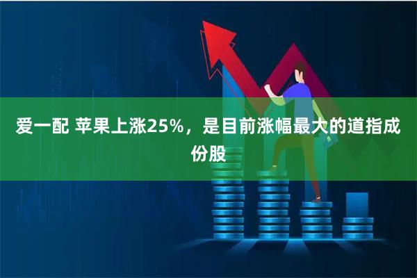 爱一配 苹果上涨25%，是目前涨幅最大的道指成份股