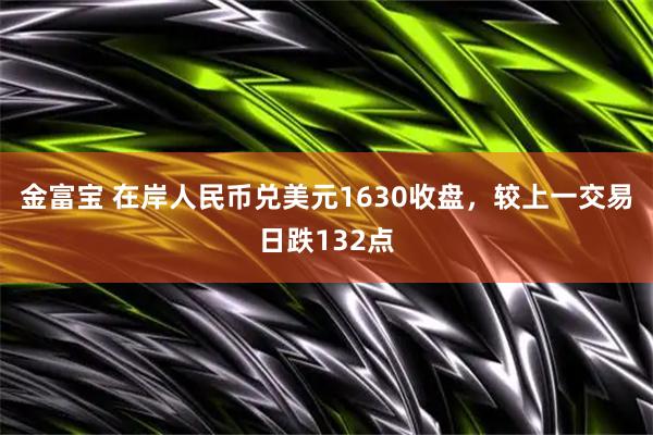 金富宝 在岸人民币兑美元1630收盘，较上一交易日跌132点