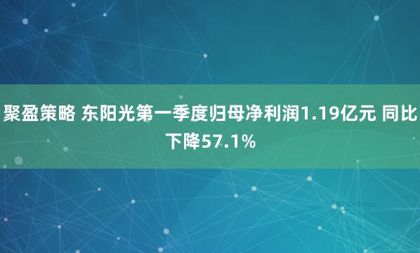 聚盈策略 东阳光第一季度归母净利润1.19亿元 同比下降57.1%